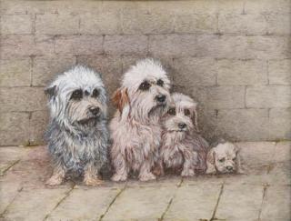 Bessie Bamber - Dandie Dinmonts