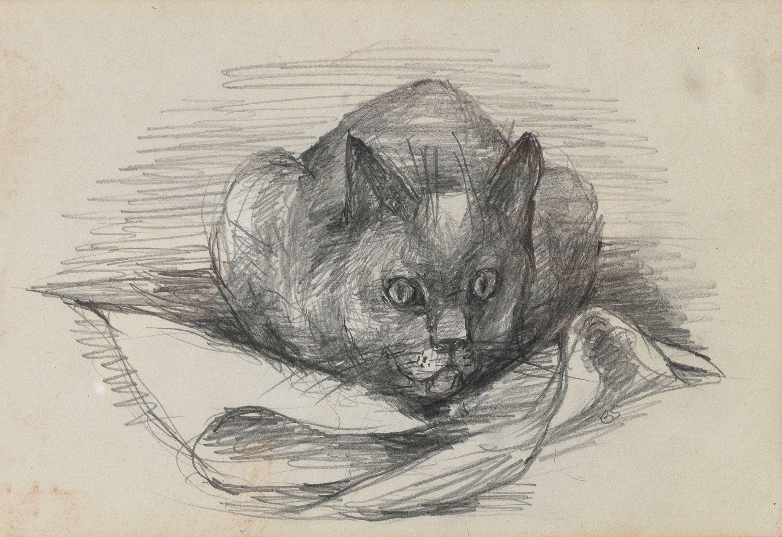 Betty Swanwick - Study of the Artist\'s Cat Bewick
