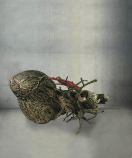 Bharti Kher - An Absence of Assignable Cause