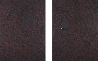 Bharti Kher - An Eye, A Tooth