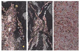 Bharti Kher - Itch, Scratch, Raw Triptych