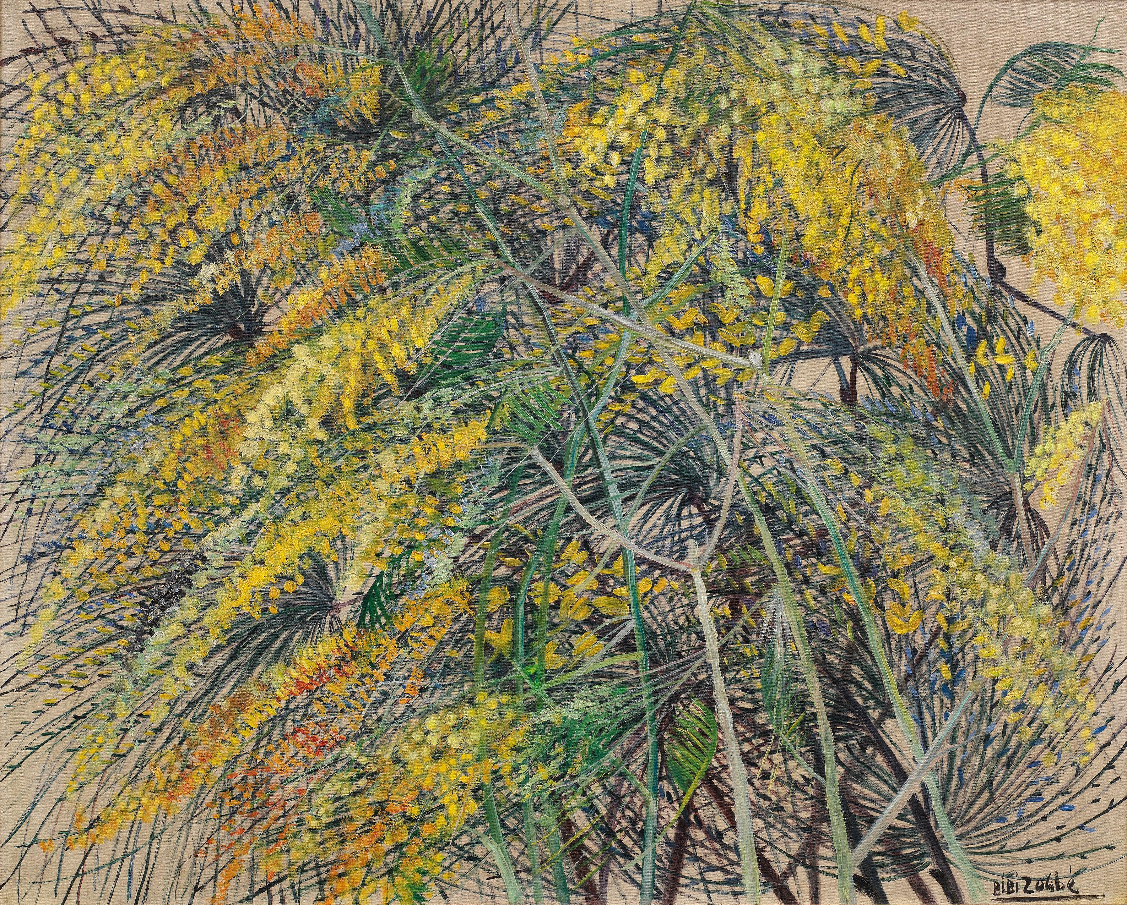 Bibi Zogbe - Retamas Aromos