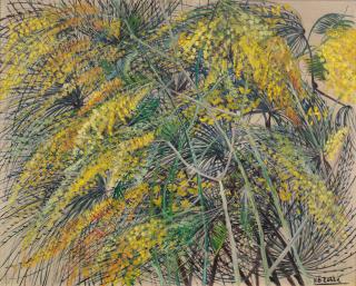 Bibi Zogbe - Retamas Aromos