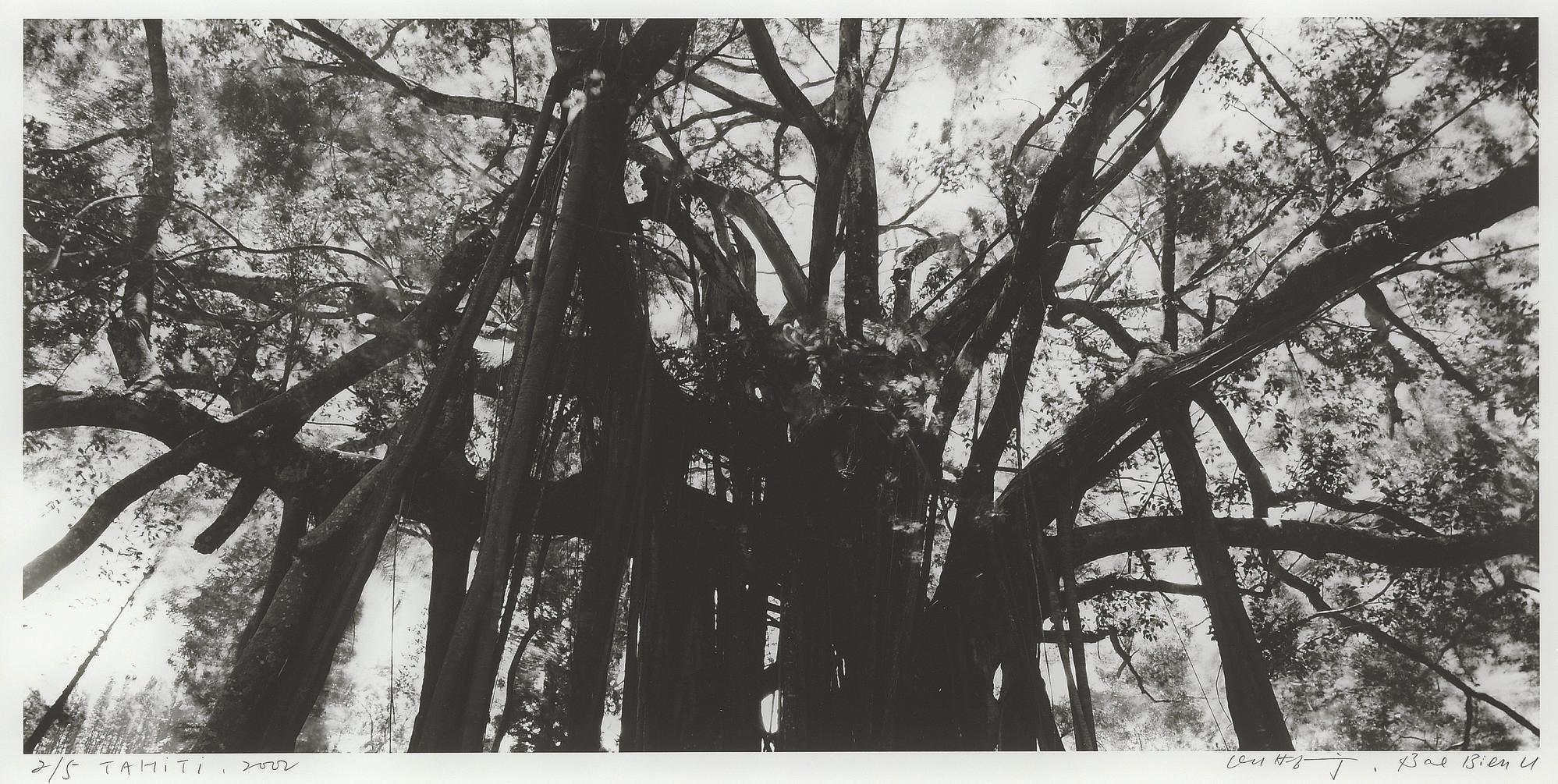 Bien-U Bae - Tahiti, 2002