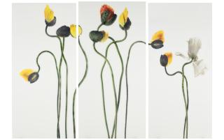 Bill Beckley - A Drop of Water in the Breaking Gulf