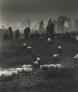 Bill Brandt - Avebury Stone Circle, After Thomas Hardy
