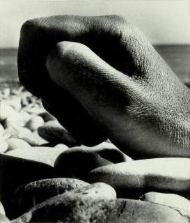 Bill Brandt - Fist on Pebbles