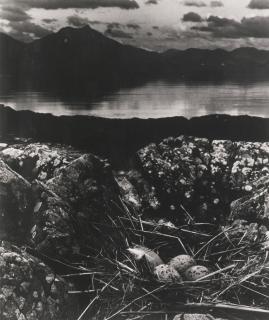 Bill Brandt - Gull\'S Nest, Isle Of Skye, 1947