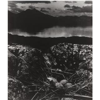 Bill Brandt - Gull\'S Nest, Isle Of Skye, 1947  
