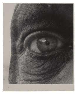 Bill Brandt - Jean Dubuffet, 1963
