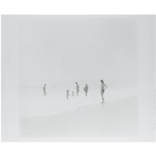 Bill Jacobson - Interim Landscape 185-6, 1989