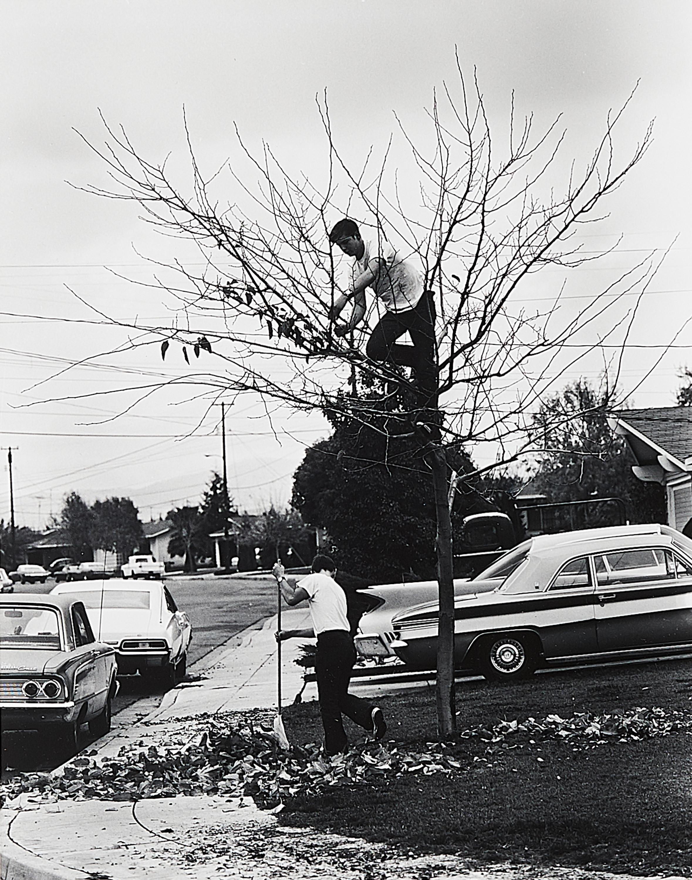 Bill Owens - My Dad thinks it\'s a good Idea to take all the Leaves off the Tree and take up the Yard.