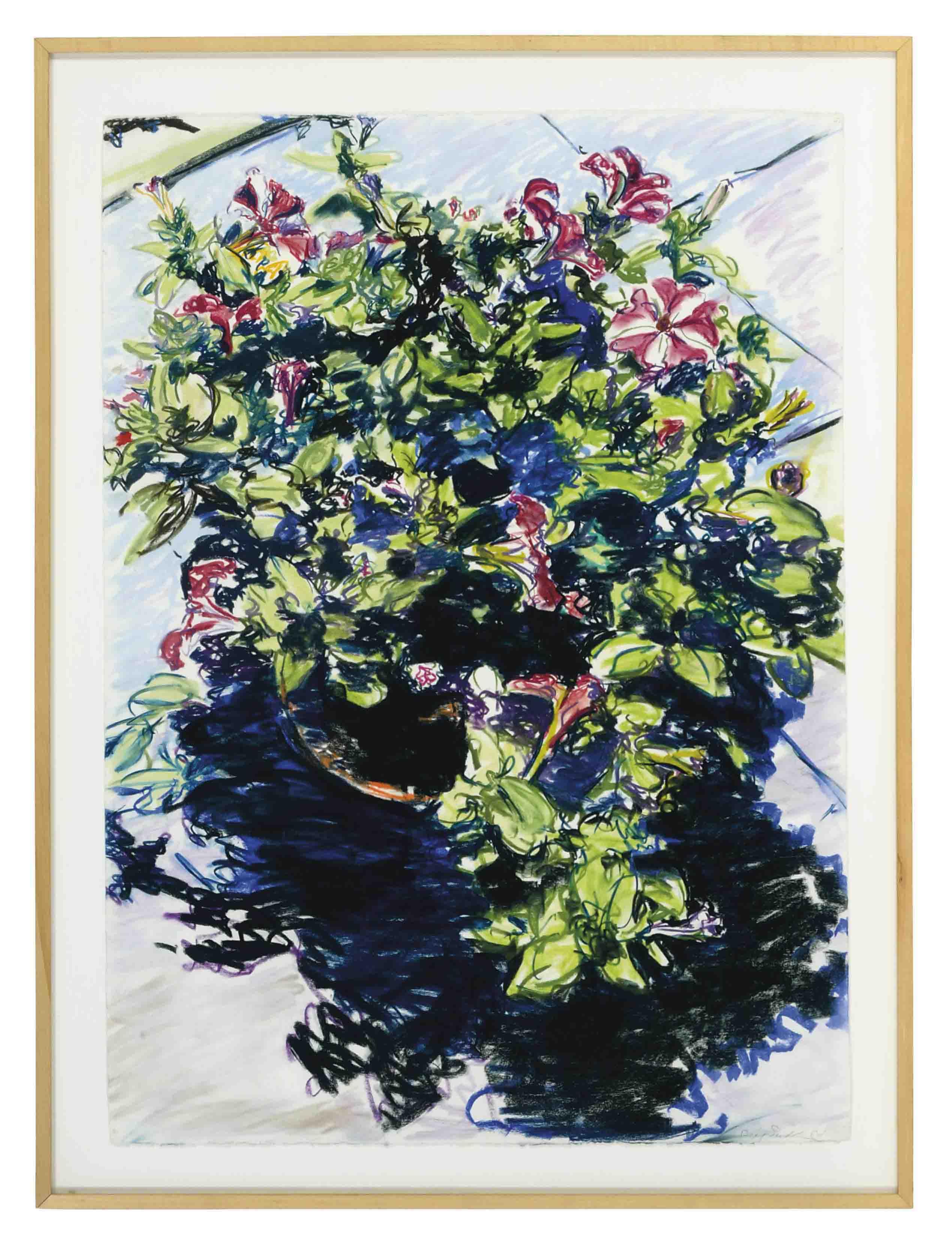 Bill Sullivan - Petunias