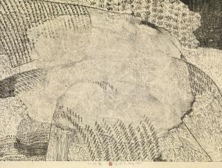 Bing Xu - The Straw Field