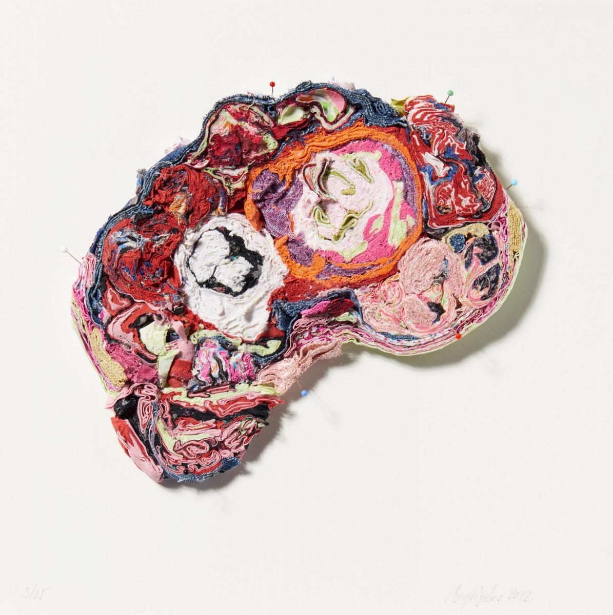 Birgit Dieker - Hirnschnitt