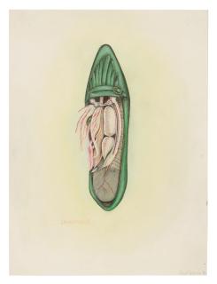 Birgit Jürgenssen - anna-tommie