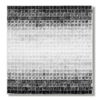 Biswajit Goswami - Traveling with mother