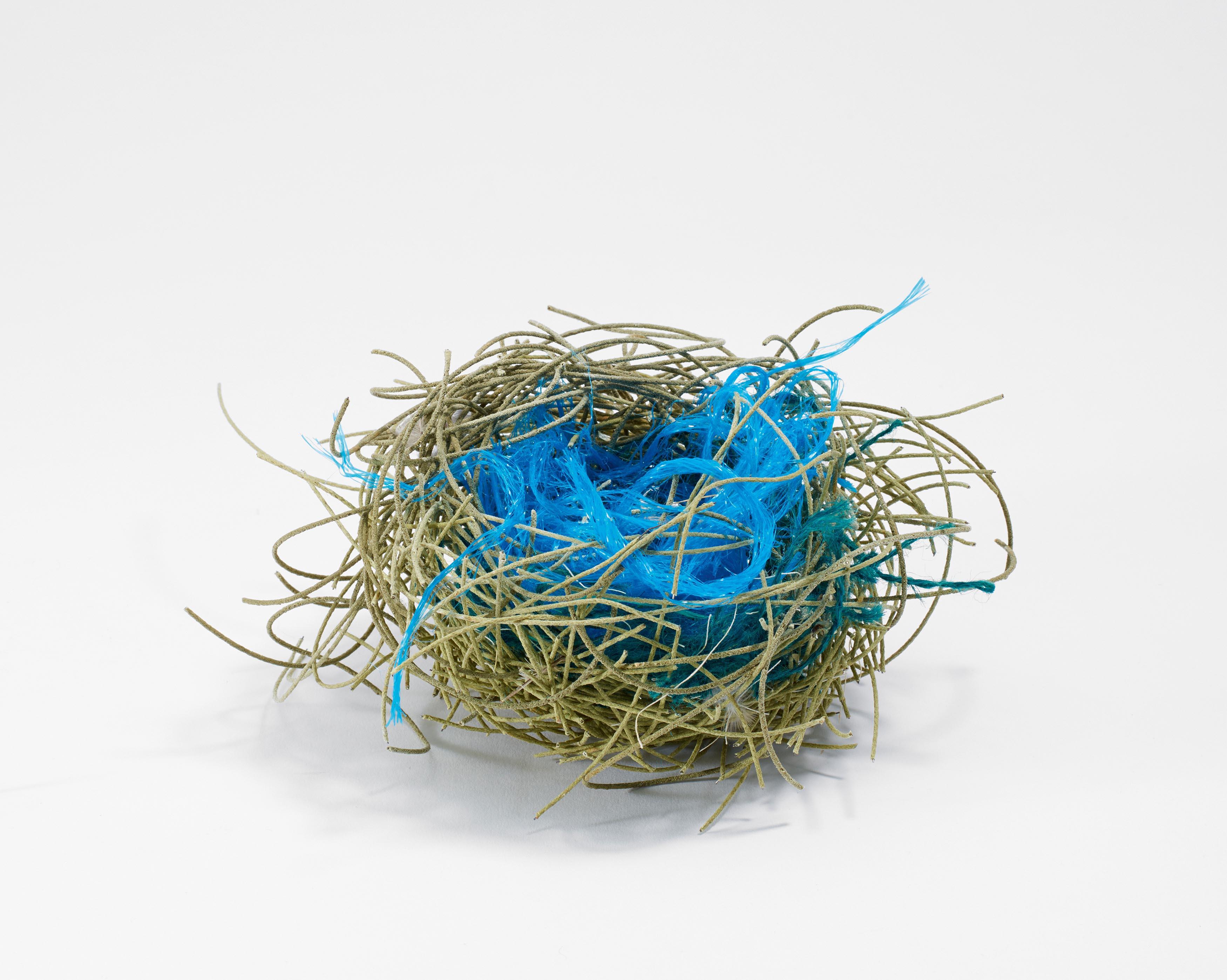 Björn Braun - Ohne Titel (Nest).