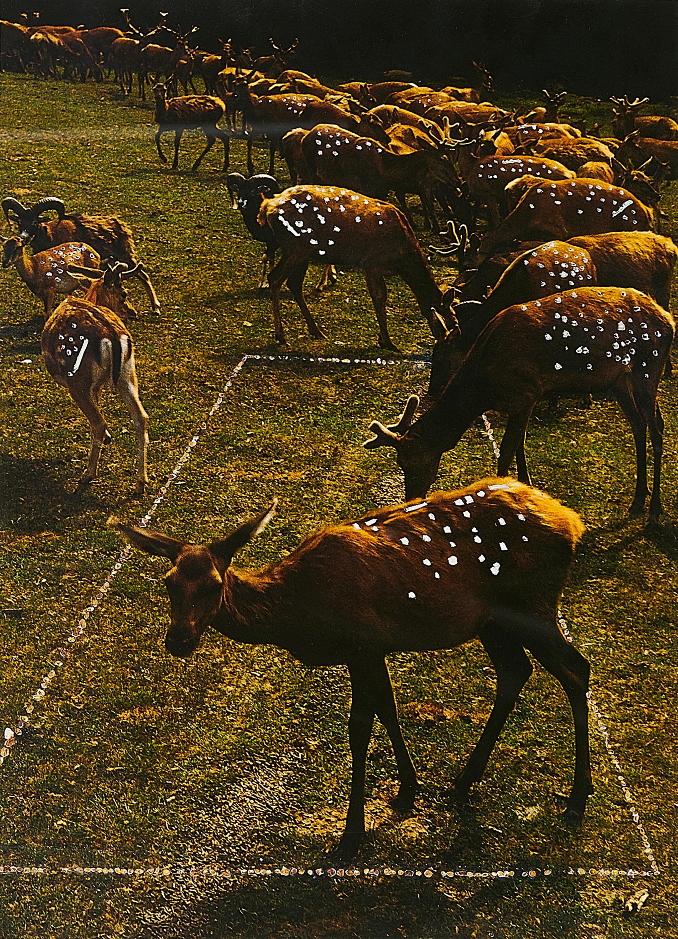 Björn Braun - Ohne Titel.