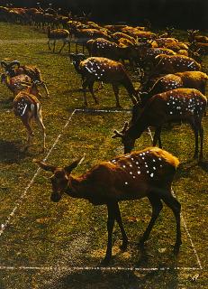 Björn Braun - Ohne Titel.