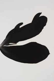 Björn Keller - \'Black Tulip 2\', 2022