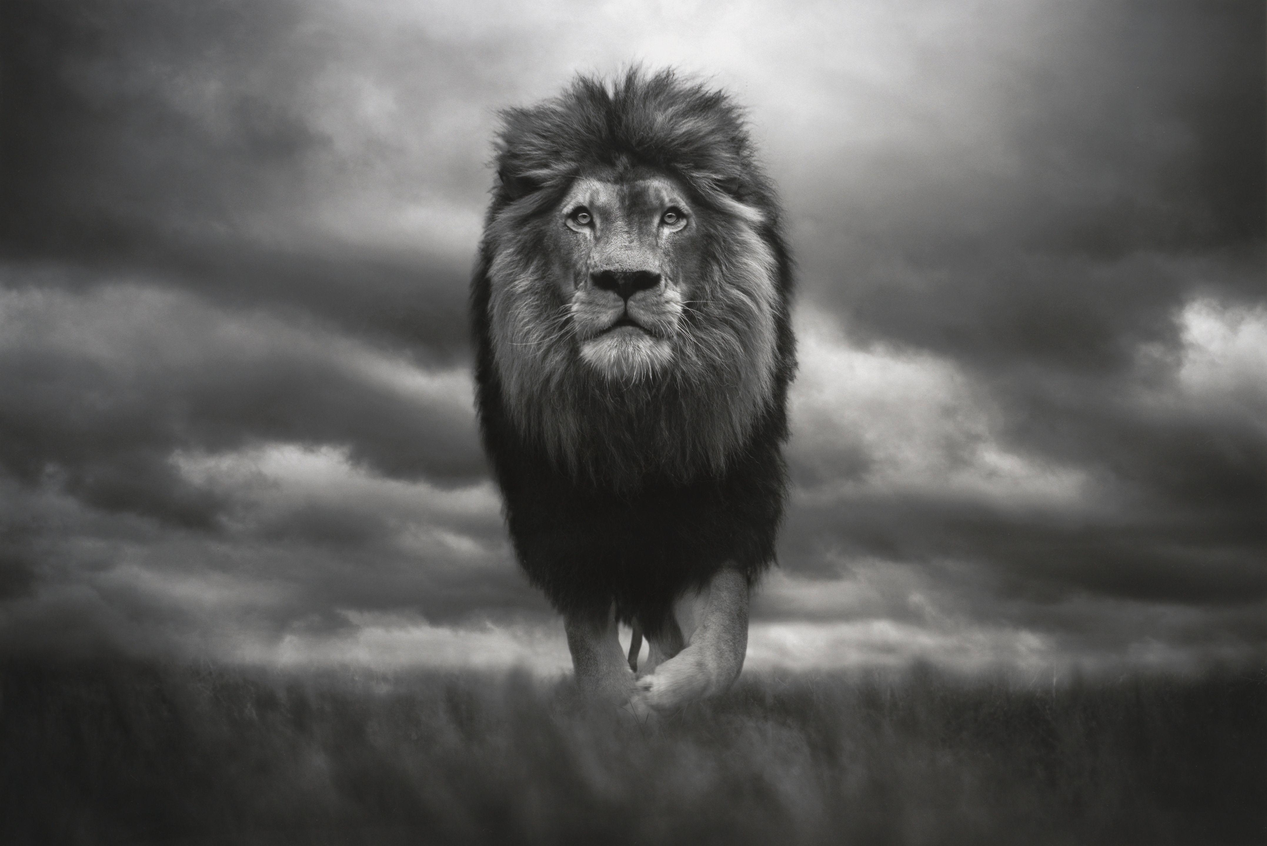 Björn Persson - \'King of Kings\'