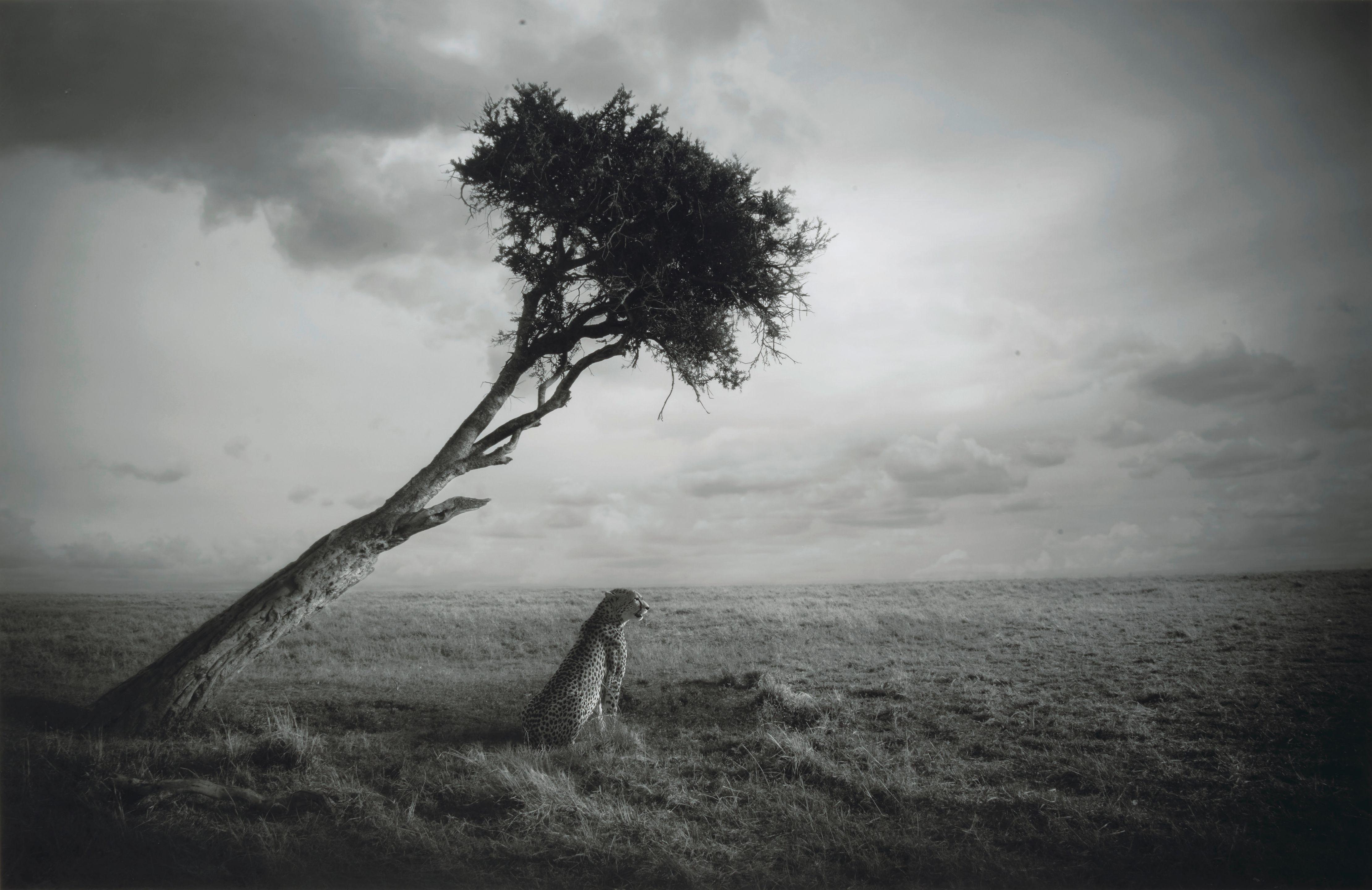 Björn Persson - Nirvana, 2017