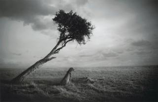 Björn Persson - Nirvana