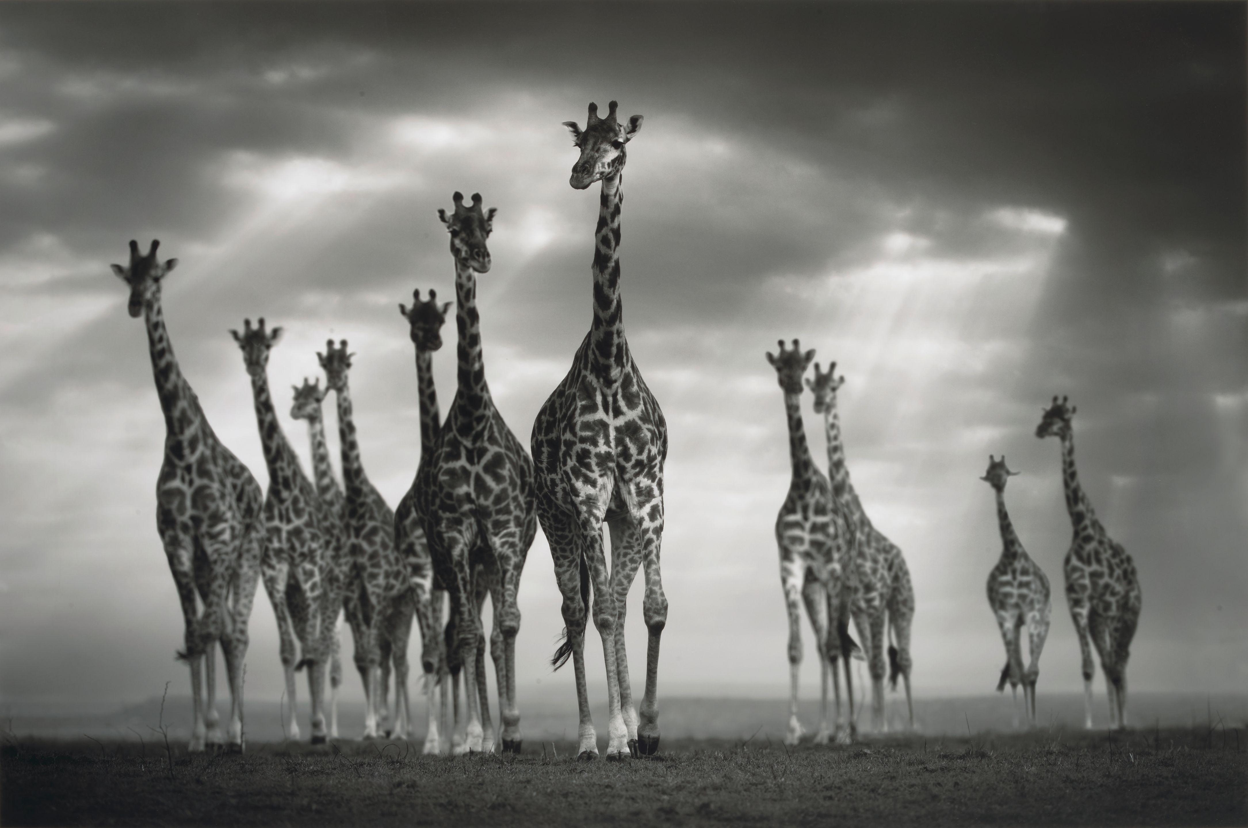 Björn Persson - One for All, All for One