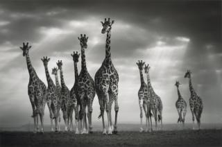 Björn Persson - One for All, All for One