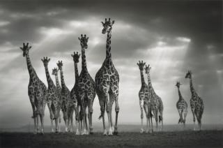 Björn Persson - One for All, All for One,