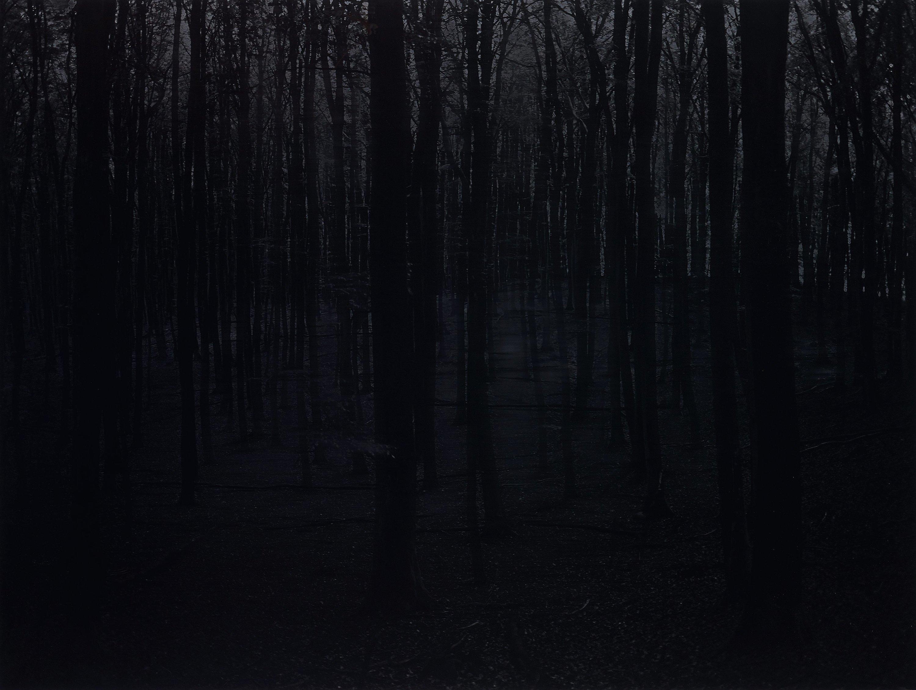 Blaise Reutersward - \