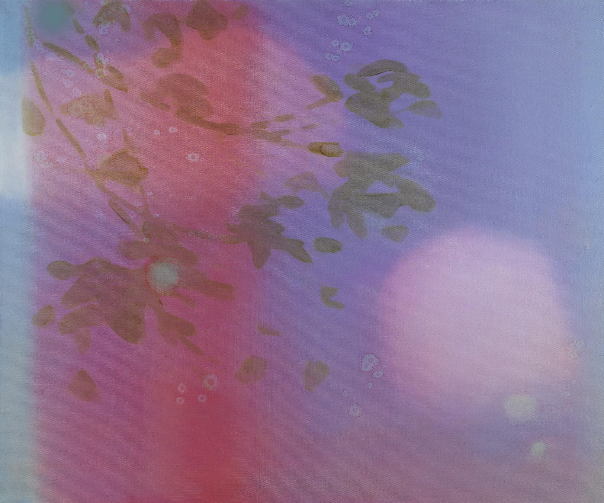 Blake Rayne - S.P.F. 6