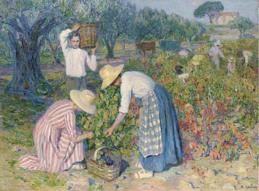 Blanche Camus - Les vendanges en Provence