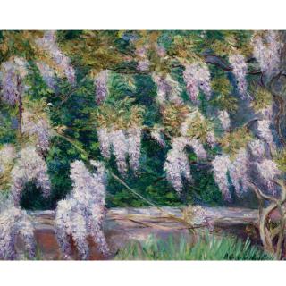 Blanche Hoschedé-Monet - Glycines À Giverny