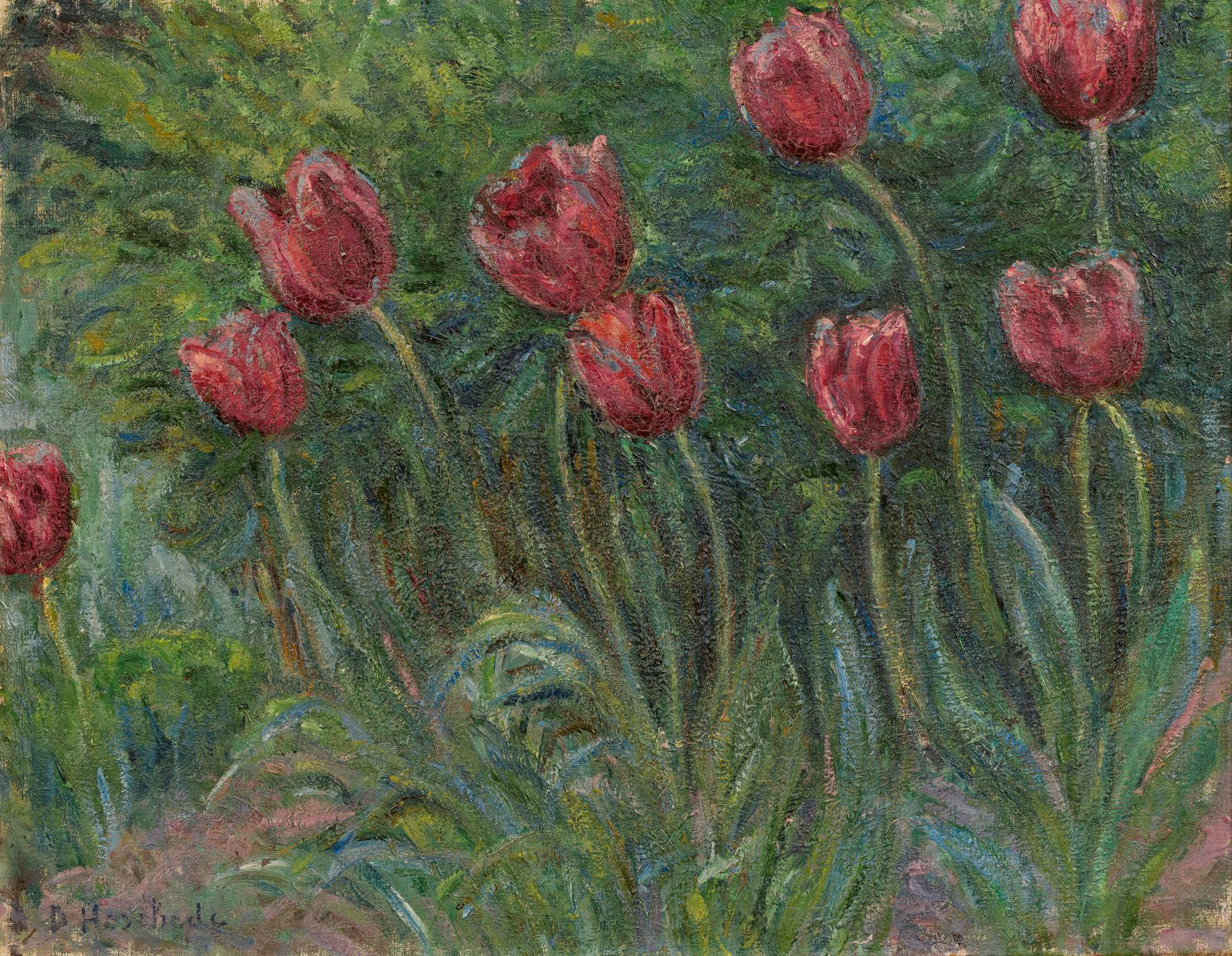 Blanche Hoschedé-Monet - Tulipes (Giverny)