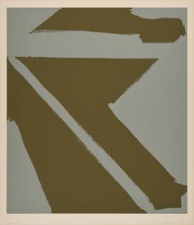 Blinky Palermo - Oliv/Silber.