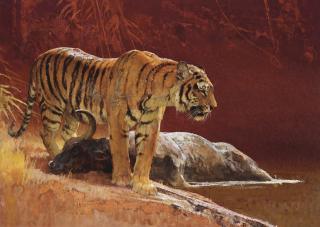 Bob Kuhn - A Stillness by the Pool