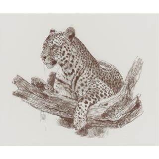 Bob Kuhn - American Leopard In A Tree