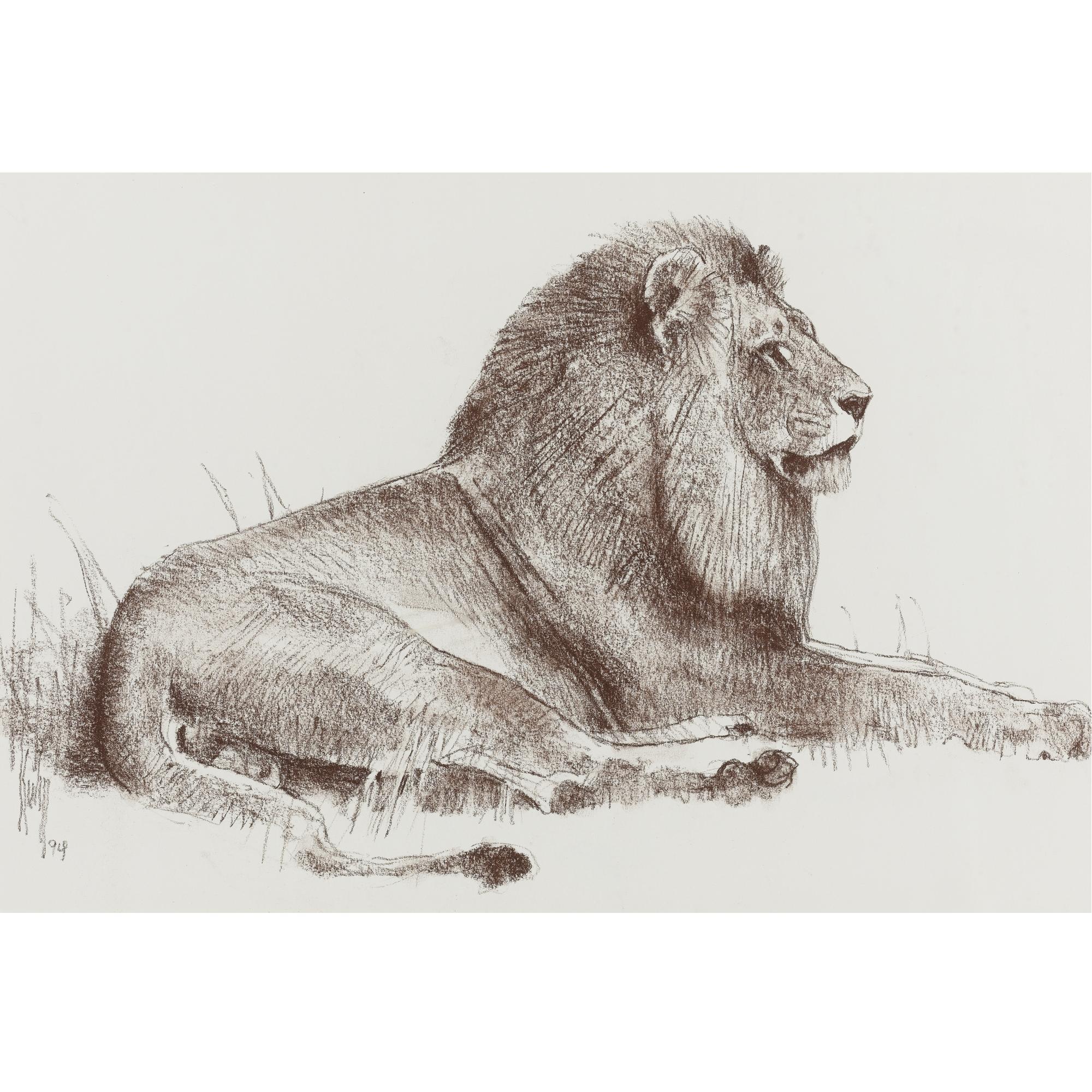 Bob Kuhn - American Recumbent African Lion