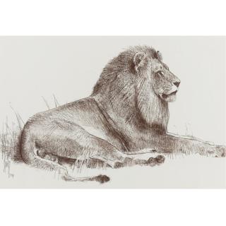Bob Kuhn - American Recumbent African Lion