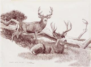 Bob Kuhn - Friends Before the Rut