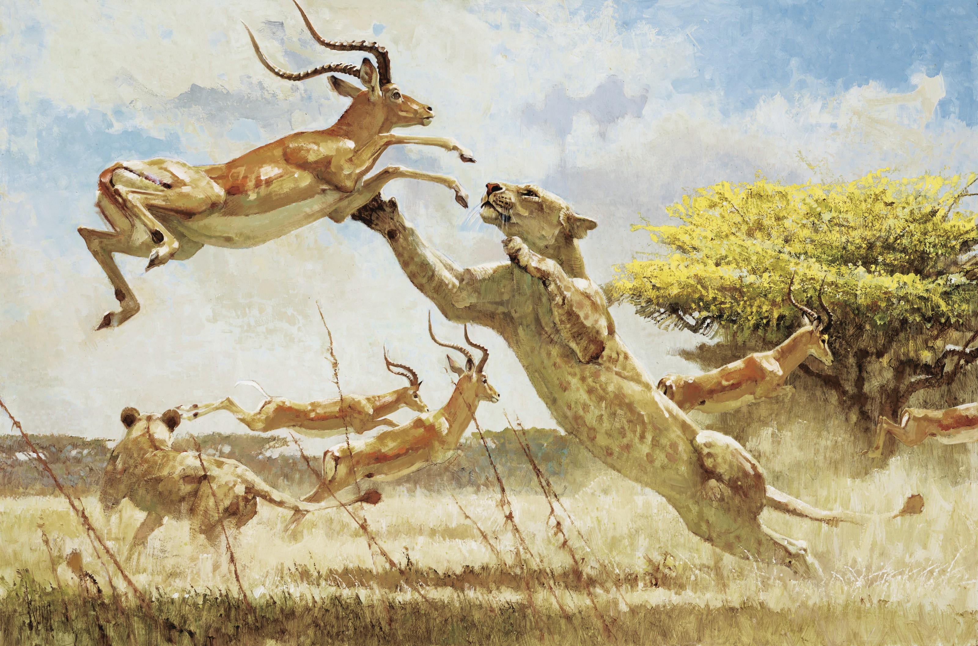 Bob Kuhn - Hit and Miss