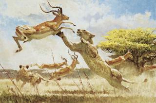 Bob Kuhn - Hit and Miss