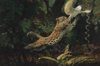 Bob Kuhn - Not This Time