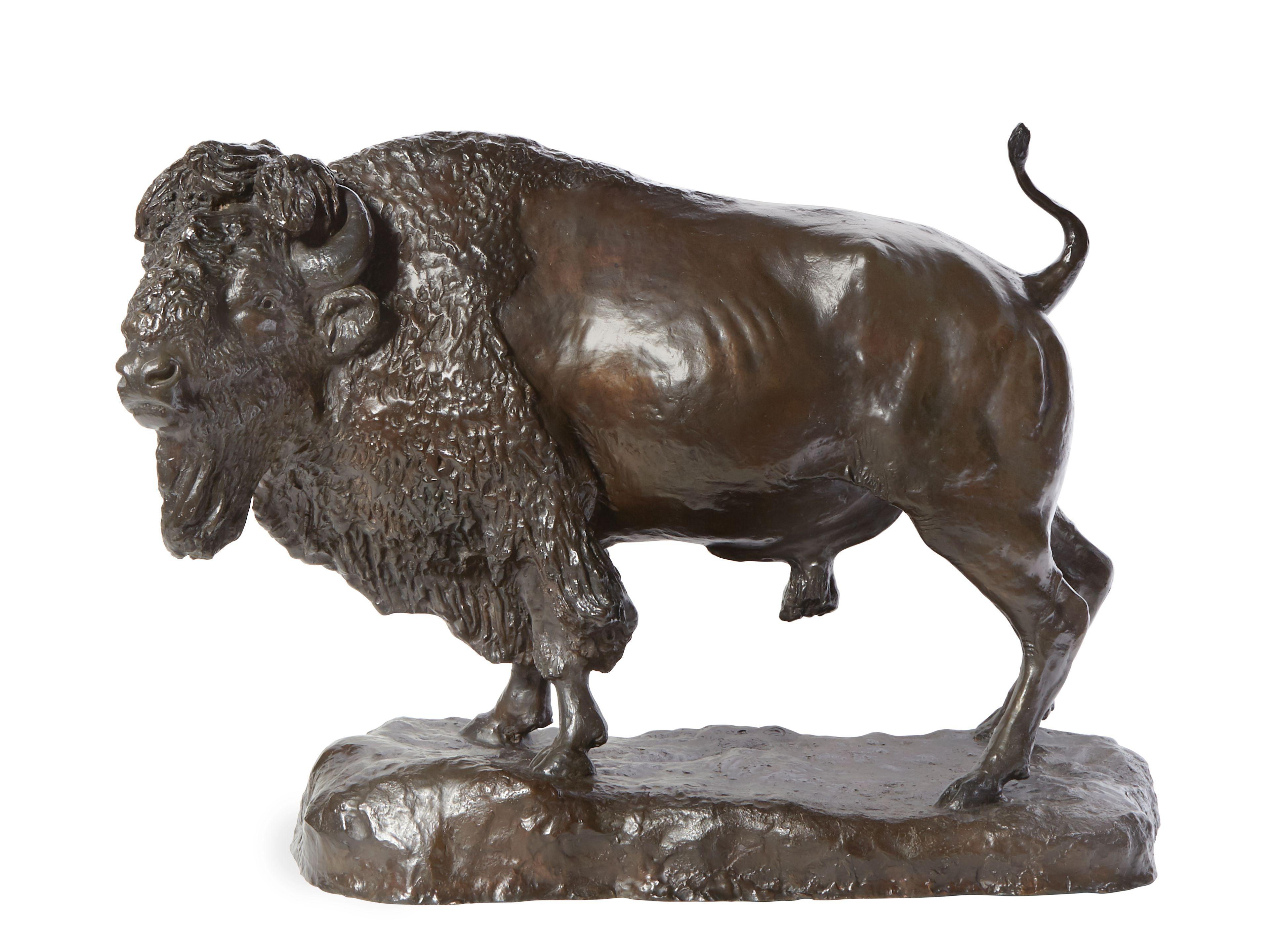 Bob ScRiver - Herd Bull