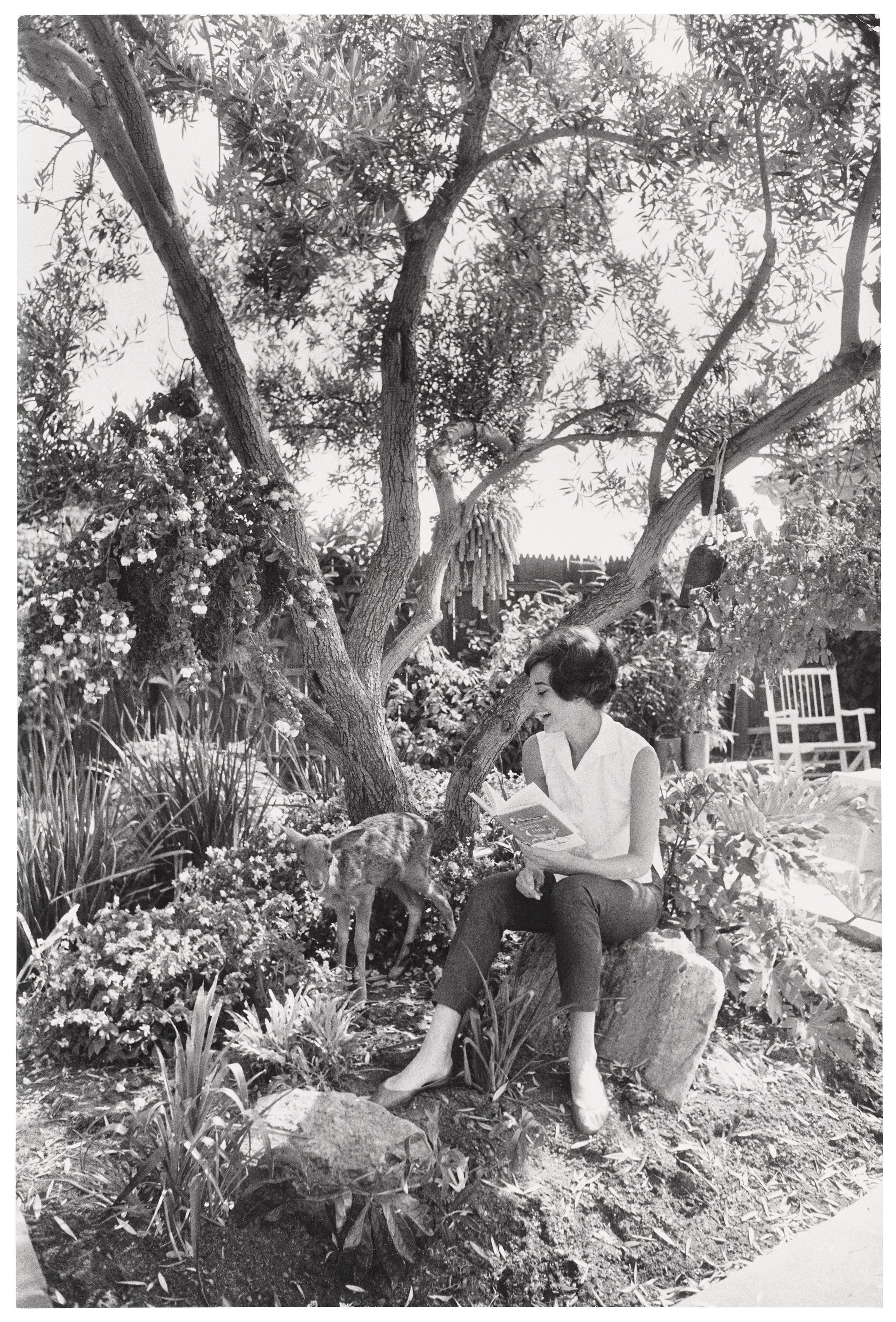 Bob Willoughby - Audrey Hepburn and Pippin (Ip), Beverly Hills