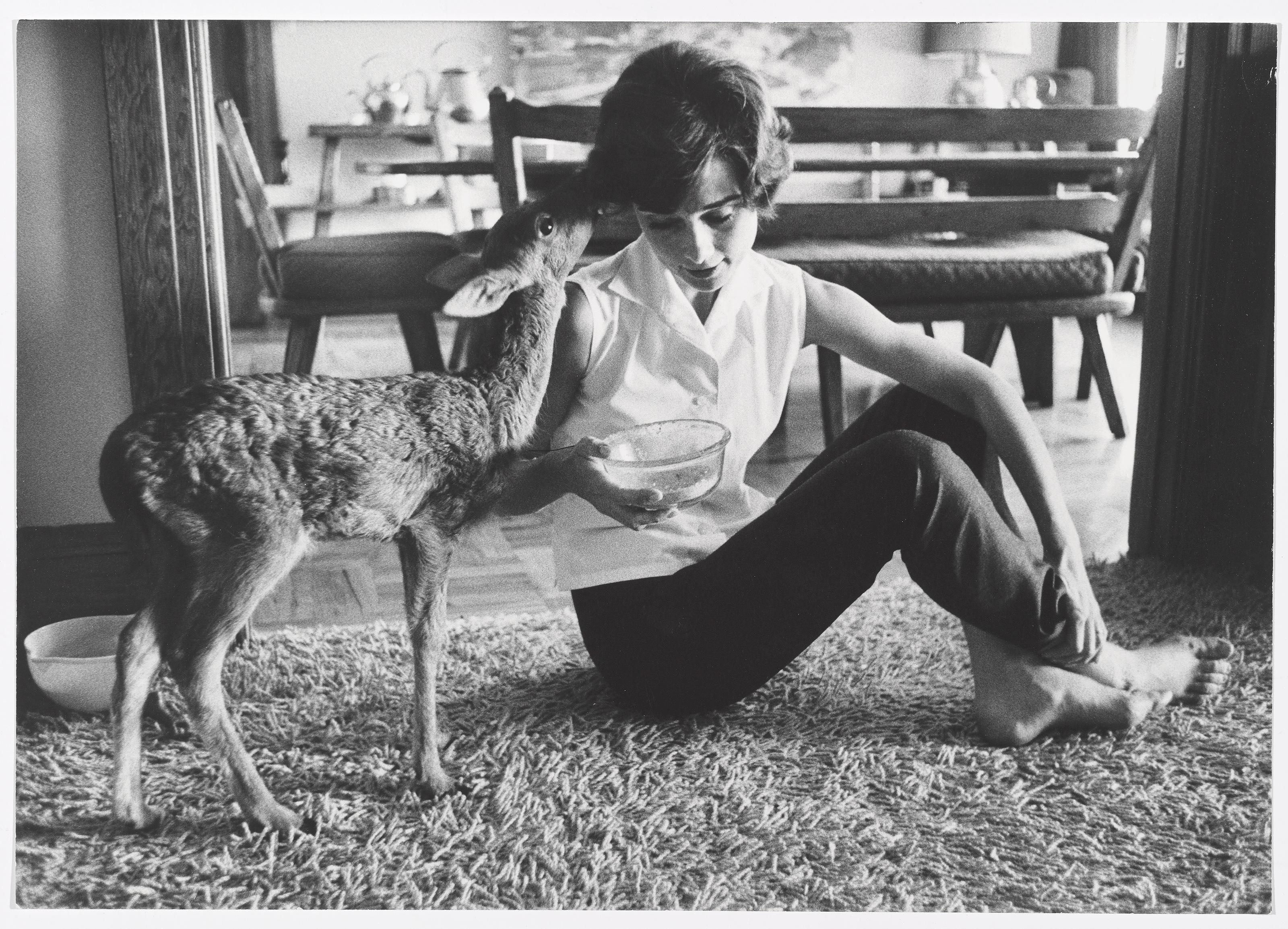 Bob Willoughby - Audrey Hepburn and Pippin (Ip), Beverly Hills