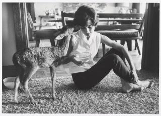 Bob Willoughby - Audrey Hepburn and Pippin (Ip), Beverly Hills