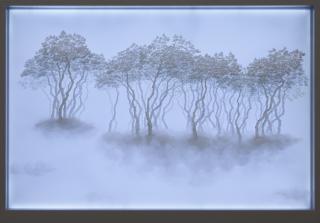 Bong-Chae Son - Migrants (009).